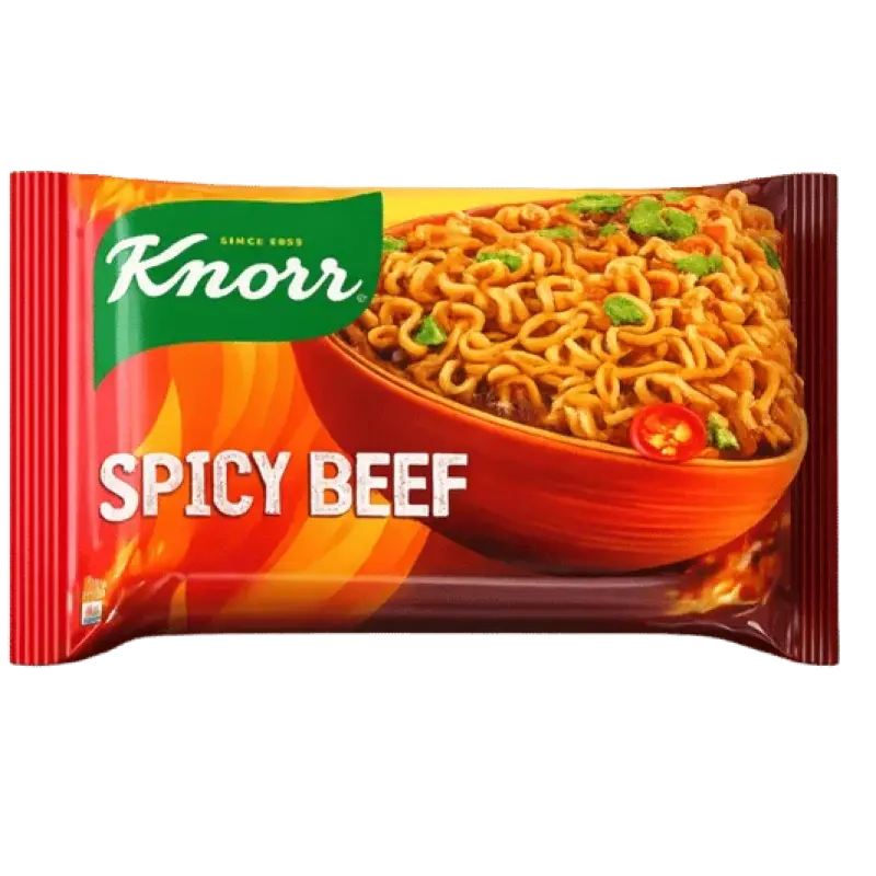 KNORR NODDLES SPICY BEEF 110GM