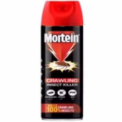 MORTEIN 2 IN 1 INSECT KILLER 375 ML